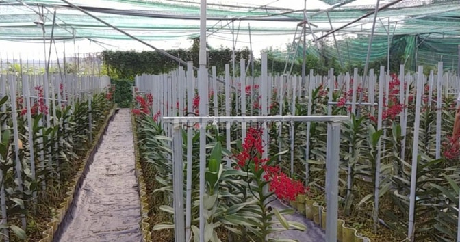 BÁN NHÀ HẼM 4M (XT) BÙI THỊ NGỌN, X. AN NHƠN TÂY, H. CỦ CHI, 22 TỶ