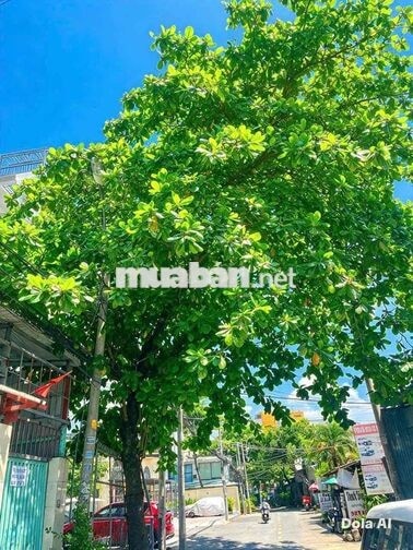 MT số 16 đường TL16 q12 vị trí kd tốt,3,5x12m,trệt gác 8tr/thang
