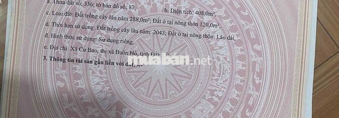 Chính chủ bán 408m² TC 120, sẵn sầu riêng cây ăn quả, Cư Bao, Buôn Hồ