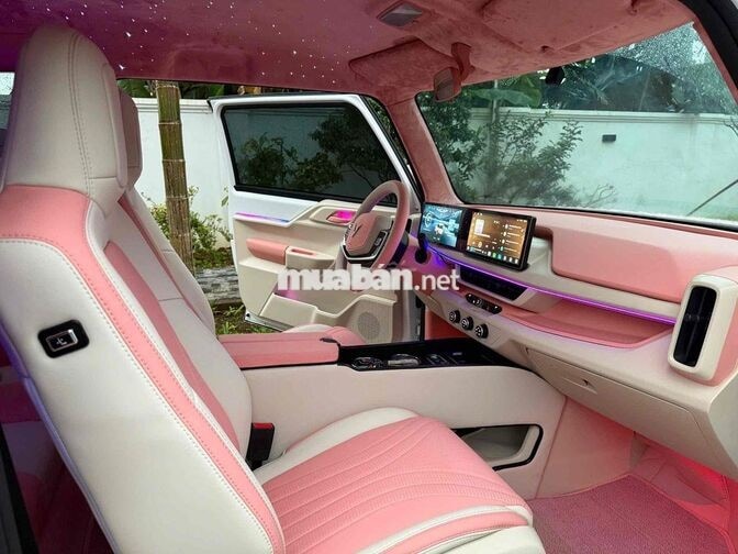 VinFast VF3 2024 Hồng 12.000km