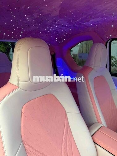 VinFast VF3 2024 Hồng 12.000km