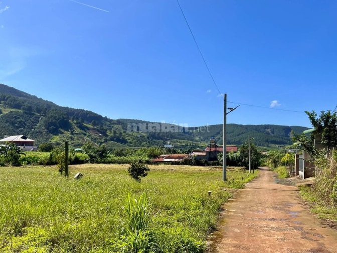 Cần Bán Đất Đông Thanh 397m2  200m2 Đất Ở, Ô Tô Tận Đất, View Đồi Núi