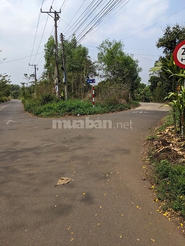 Cần bán 7000m2 đất mặt tiền đường