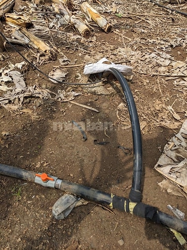 Cần bán 7000m2 đất mặt tiền đường