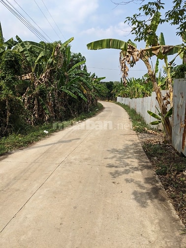 Cần bán 7000m2 đất mặt tiền đường