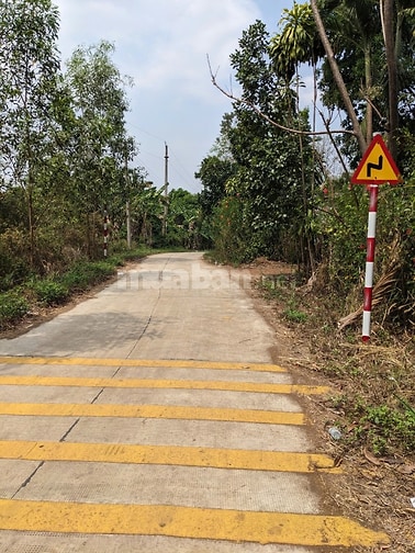 Cần bán 7000m2 đất mặt tiền đường
