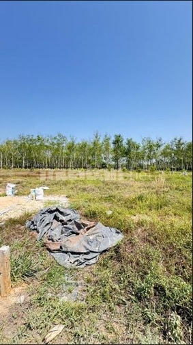 BÁN ĐẤT TẠI THỊ XÃ TRẢNG BÀNG, TỈNH TÂY NINH 