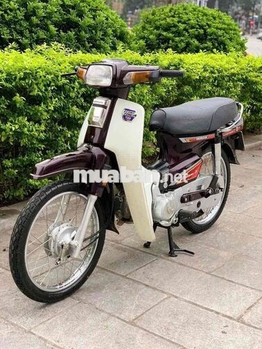 Honda Dream Việt 2011 Nâu trắng
