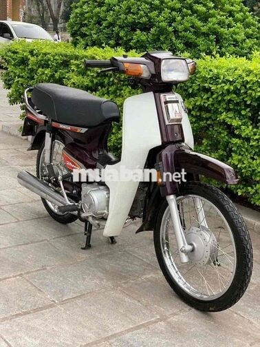 Honda Dream Việt 2011 Nâu trắng