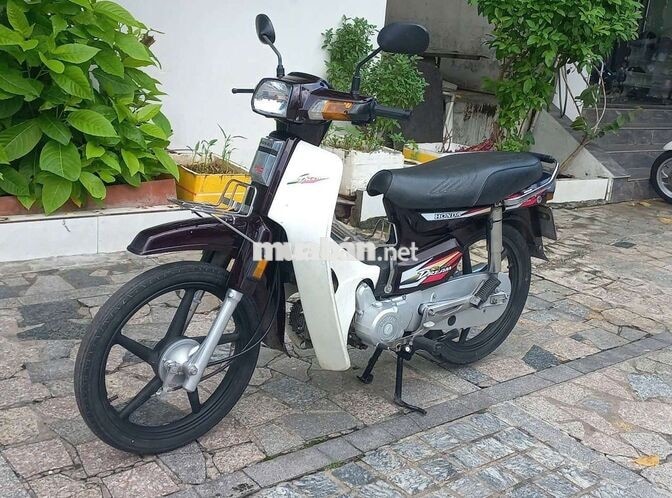 Citi 19 đầu Full Super Dream Nâu Xăng