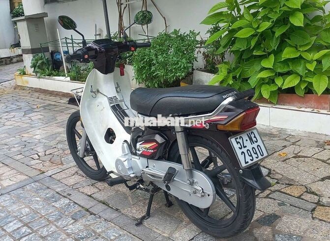 Citi 19 đầu Full Super Dream Nâu Xăng