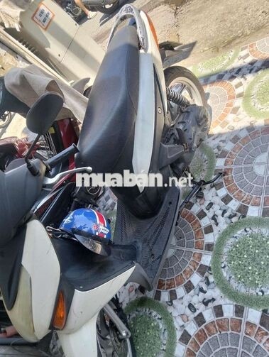 Honda Click Trắng Xe tay ga