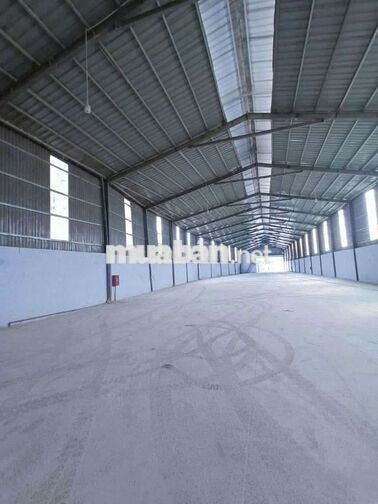 1500m xưởng có hoàn công pccc tự động giá 3 usd/m