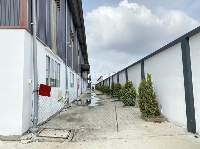 Cho thuê xưởng 4.500m2 đường Nguyễn Hữu Trí, Bình Chánh, giá 250 triệu