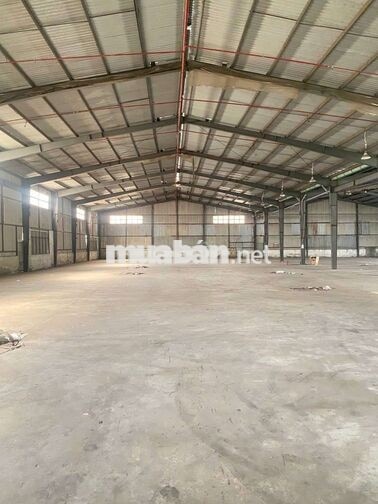 xưởng 2000m giá 200tr/tháng hóc môn 