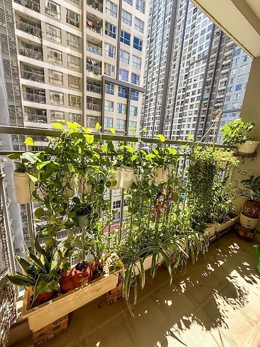 Căn Hộ Đẹp, Thoáng Sáng Tại Vinhomes Gardenia - Full Đồ, 16.5 triệu