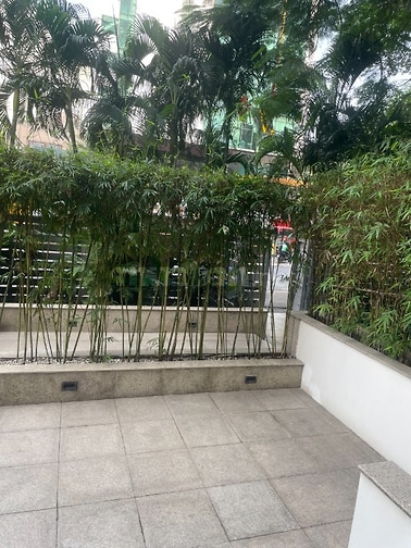 Chính chủ cho thuê căn hộ Avalon 53 Nguyễn Thị Minh Khai Q1
