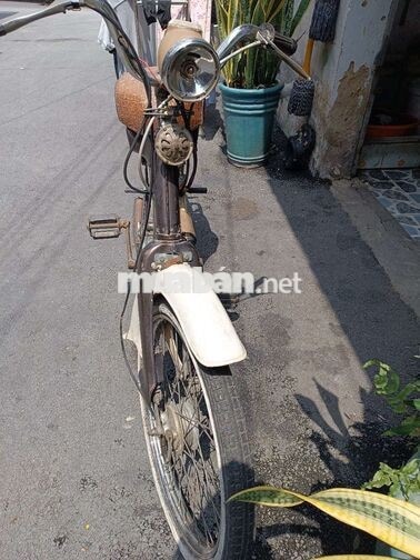 Honda PC 50 Nâu, Trắng Đã sử dụng