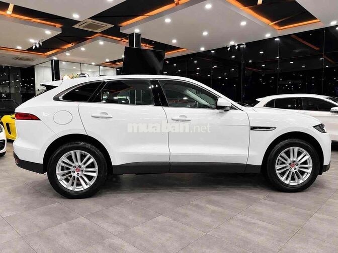 Jaguar F-Pace 35t Portfolio Limited Edition 2017 T