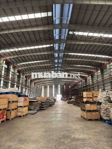 xưởng 1500m² giá thuê 135 triệu pccc tự động