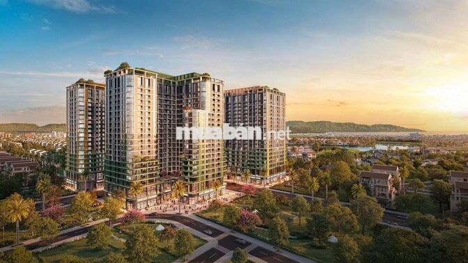 Căn Hộ Cao Cấp 1PN 30,1m2 thích hợp để ở cho Thuê tại F2-Fours Tower