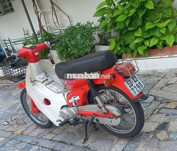 Honda Cub Dd