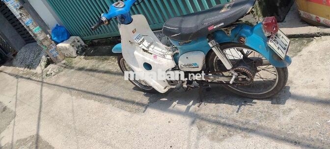 Honda Cub Xanh Trắng