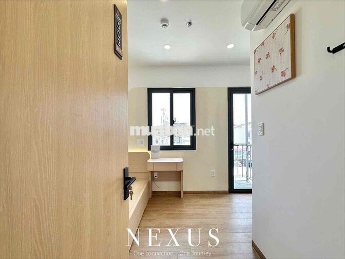 🍁 MỘT GÓC NHỎ SIU CHILL TÂN BÌNH – STUDIO XỊN, VỀ NHÀ LÀ THẤY ẤM ÁP 🍂