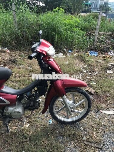 wave hàng quốc giấy tờ đầy đủ 