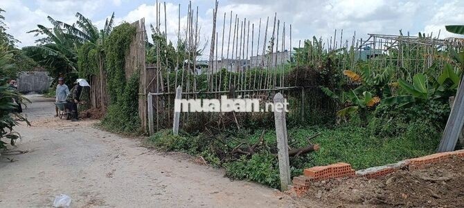 Đất Bình Mỹ, Củ Chi, hẻm ôtô thông, 4x25m xây ở liền.