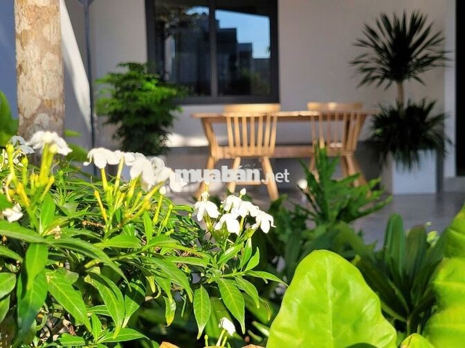  NHÀ VƯỜN 2 PHÒNG NGỦ MỚI – TRƯƠNG XUÂN NAM, NAM HÒA XUÂN