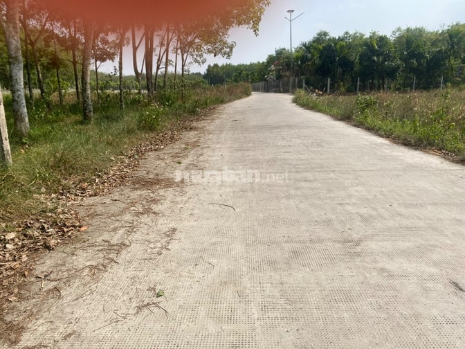 Bán đất vườn cây lâu năm phù hợp cho XD nhà vườn hoặc kho xưởng