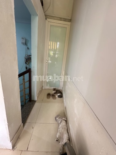Bán Nhà Mặt Phố Mai Dịch, Hà Nội