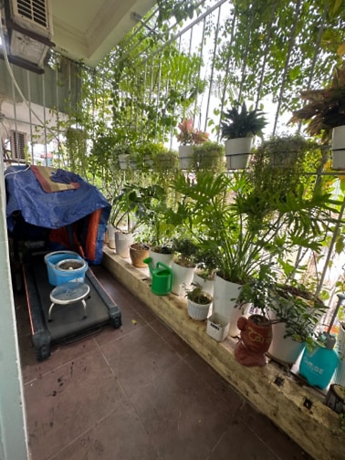 Bán Nhà Mặt Phố Mai Dịch, Hà Nội
