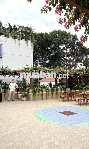 Cho thuê sân thượng Q1, view hàng cây đ Sương Nguyệt Ánh cực chill