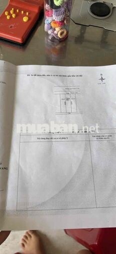 chủ cần bán đất đường Cẩm Nam 6- Hoà Xuân