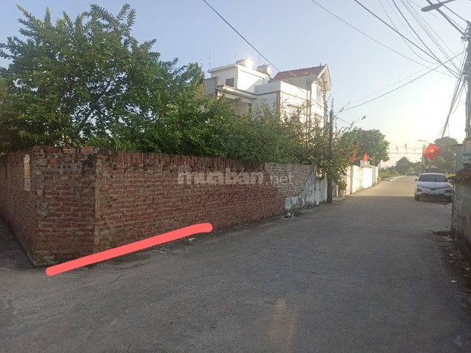 Bán đất thổ cư siêu đẹp tại phường Tân Tiến 