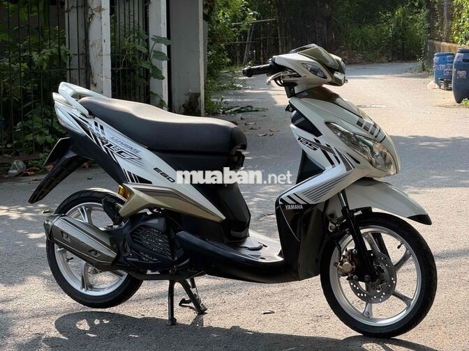 Luvias kiểng giá mềm