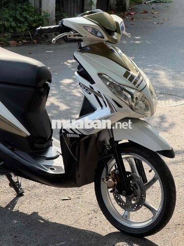 Luvias kiểng giá mềm