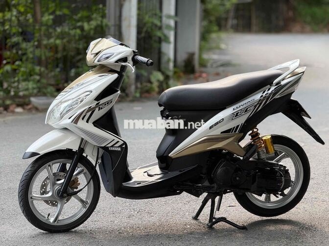 Luvias kiểng giá mềm