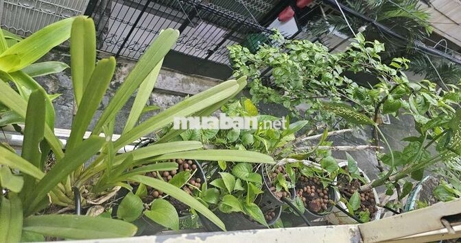 Phòng sạch đẹp đủ tiện nghi, trung tâm TP 