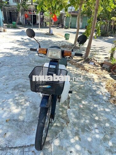 Honda Cup tum 50cc Xanh trắng