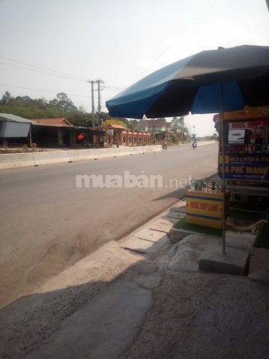 Cho thuê nhà đất mặt tiền trang trại, nhà xưởng, kinh doanh... 