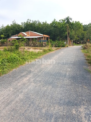Cho thuê nhà đất mặt tiền trang trại, nhà xưởng, kinh doanh... 