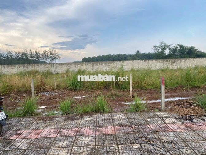 275m2 đất sát KCN Minh Hưng cách QL13 đúng 700m giá chỉ 2tr5/m2