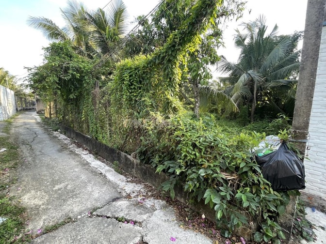 Đất trống đường Đinh Thiếu Sơn - đường 277 thành phố Tân An, Long An