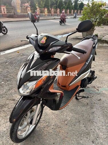 Yamaha Luvias Nâu, Đen Xe tay ga