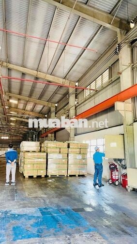 Kho xưởng cho thuê tại Tân Tạo Bình Tân thành phố Hồ Chí Minh 1870m