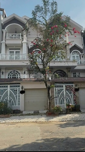 Cho thuê nhà mặt tiền đường số, Khu dân cư Hương Lộ 5, Phường An Lạc