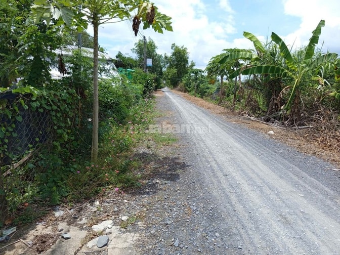 Đất MT Kênh Sáng QH 9m bao gồm thổ cư + đất NN Mỹ Lộc Tây Ninh